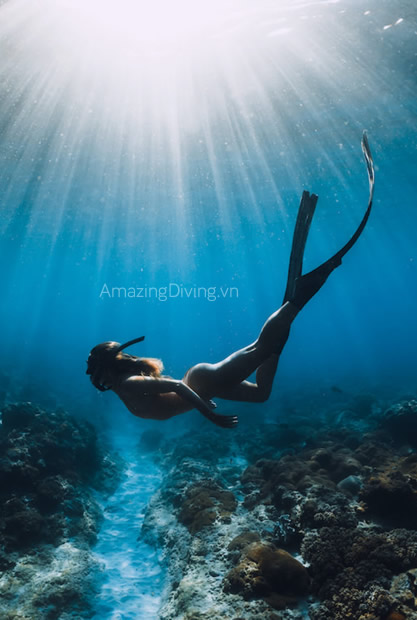 FreeDiving là gì? Và tại sao bộ môn này đang rất được ưa chuộng